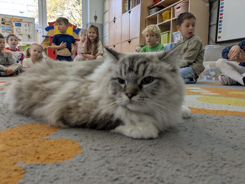 Wizyta kotka w grupie IV
