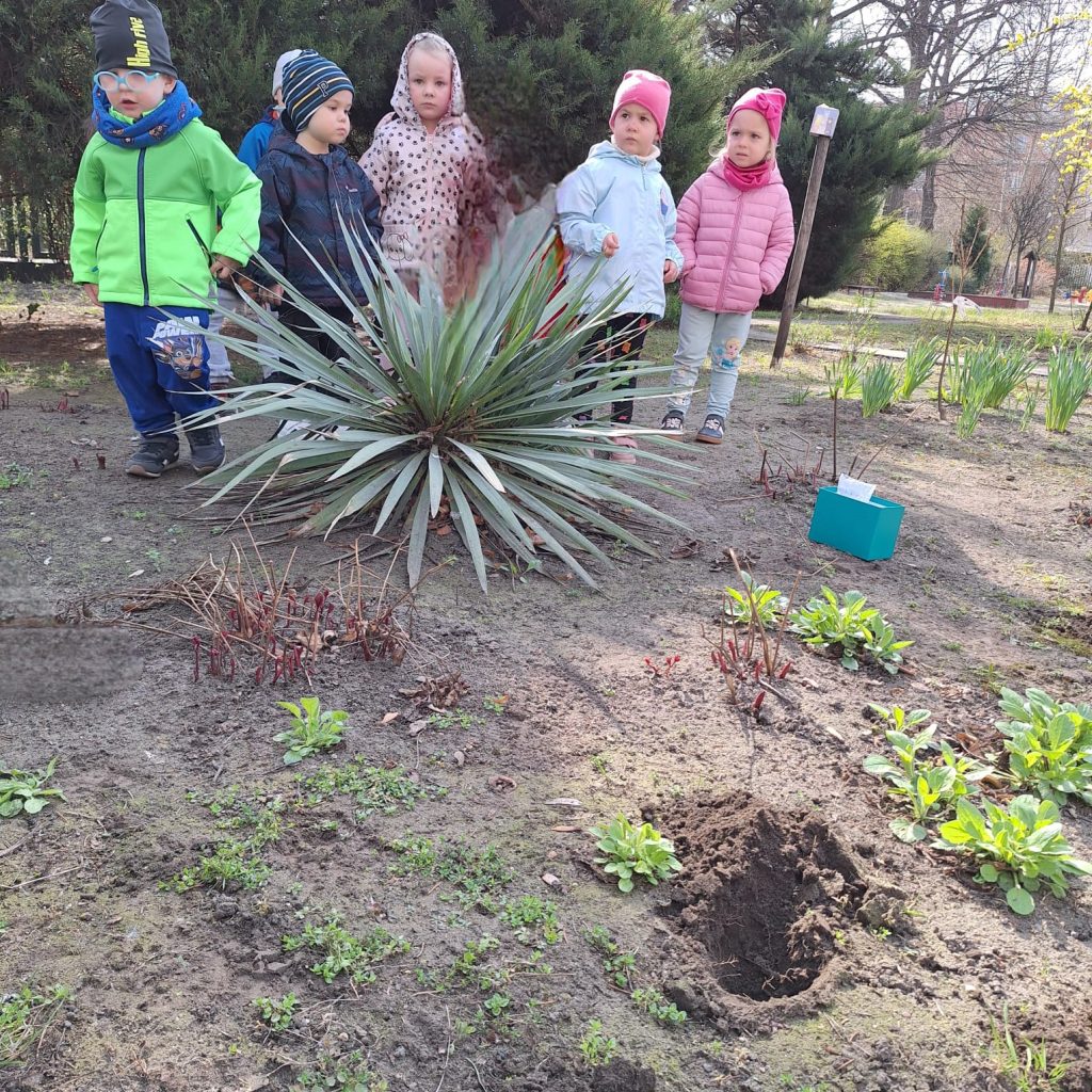 Pszczółki w ogródku